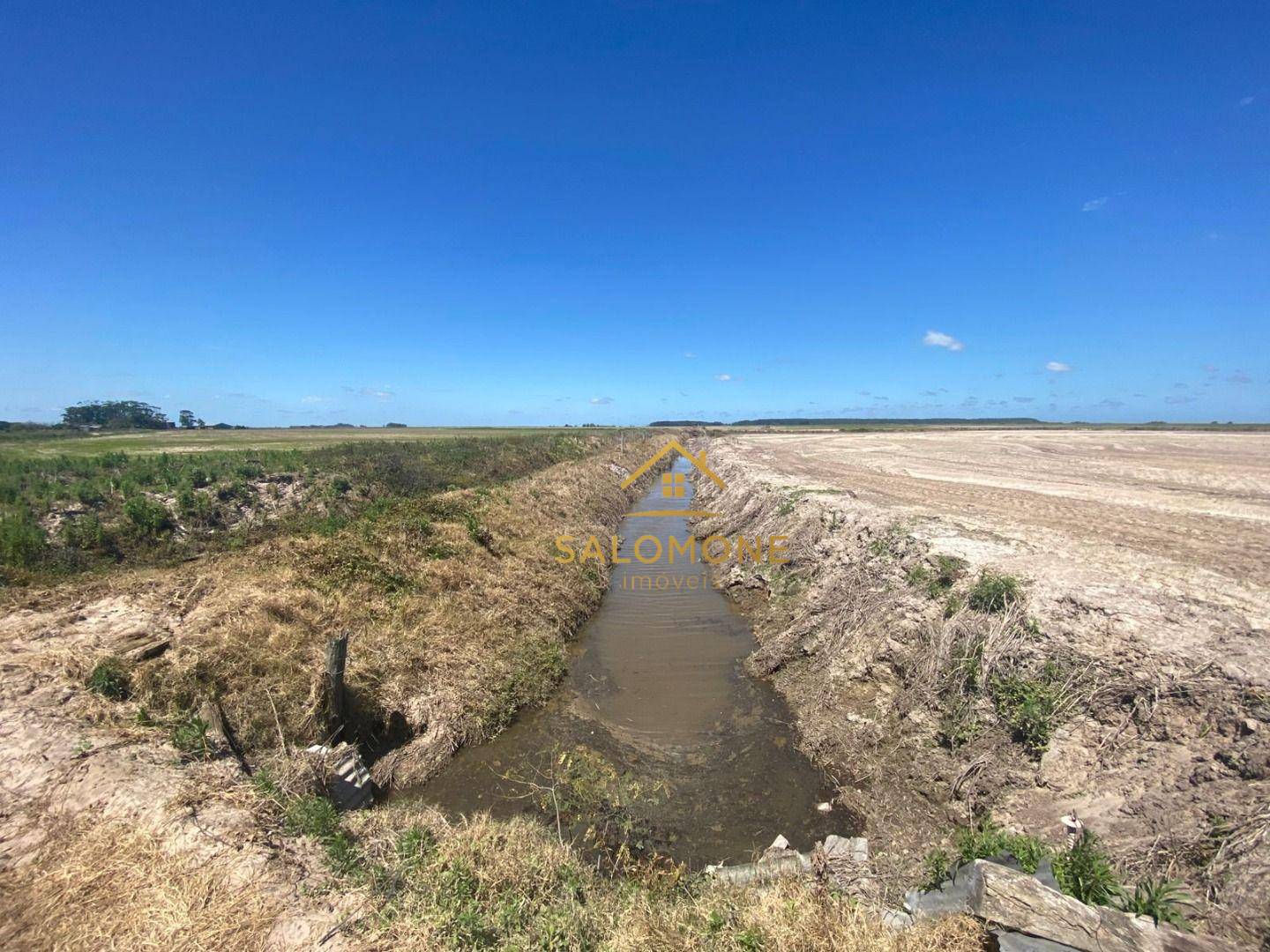 Fazenda, 100 hectares - Foto 6