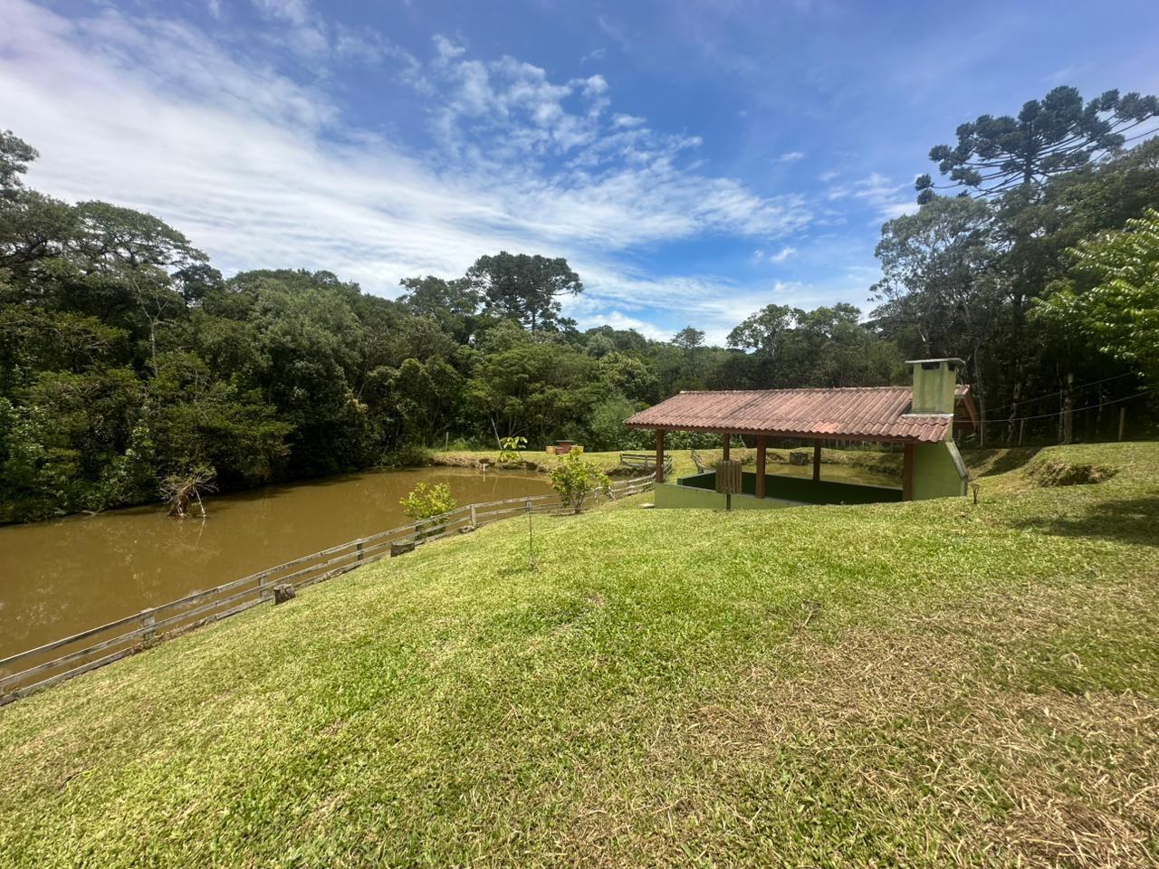 Fazenda à venda com 3 quartos, 8000m² - Foto 26