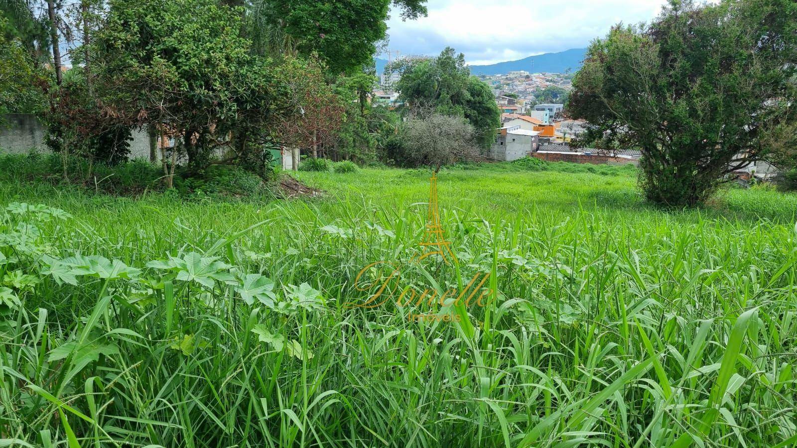 Terreno à venda, 5800M2 - Foto 7