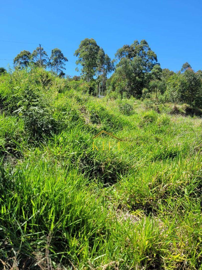 Terreno à venda, 3000M2 - Foto 9