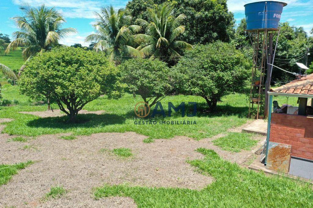 Fazenda à venda com 6 quartos, 500m² - Foto 6