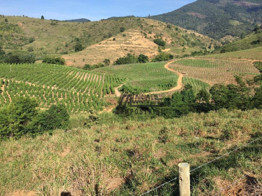 Fazenda à venda, 2420000M2 - Foto 1