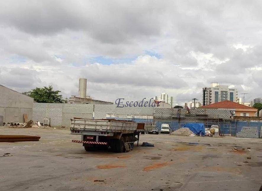 Terreno, 8000 m² - Foto 4