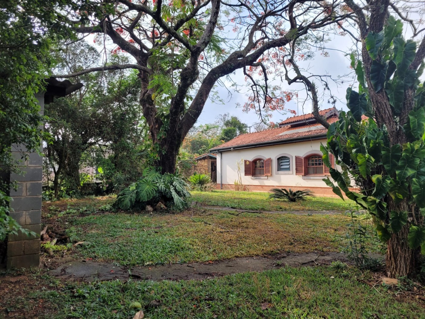 Casa à venda com 4 quartos, 2000m² - Foto 32