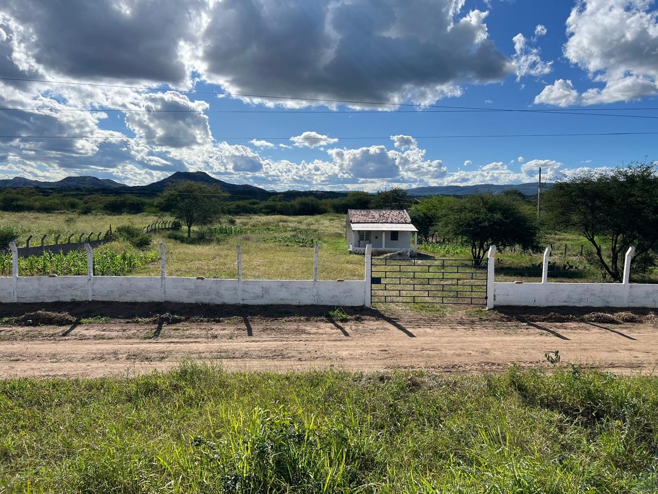 Sítio à venda com 2 quartos, 5000m² - Foto 3