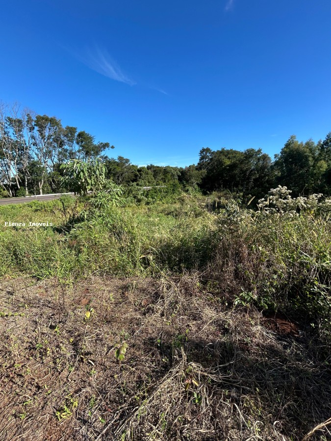 Loteamento e Condomínio à venda, 30000m² - Foto 4