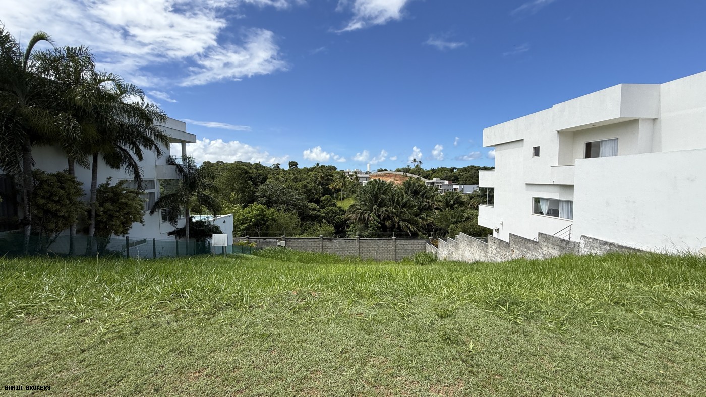 Terreno à venda, 392m² - Foto 8