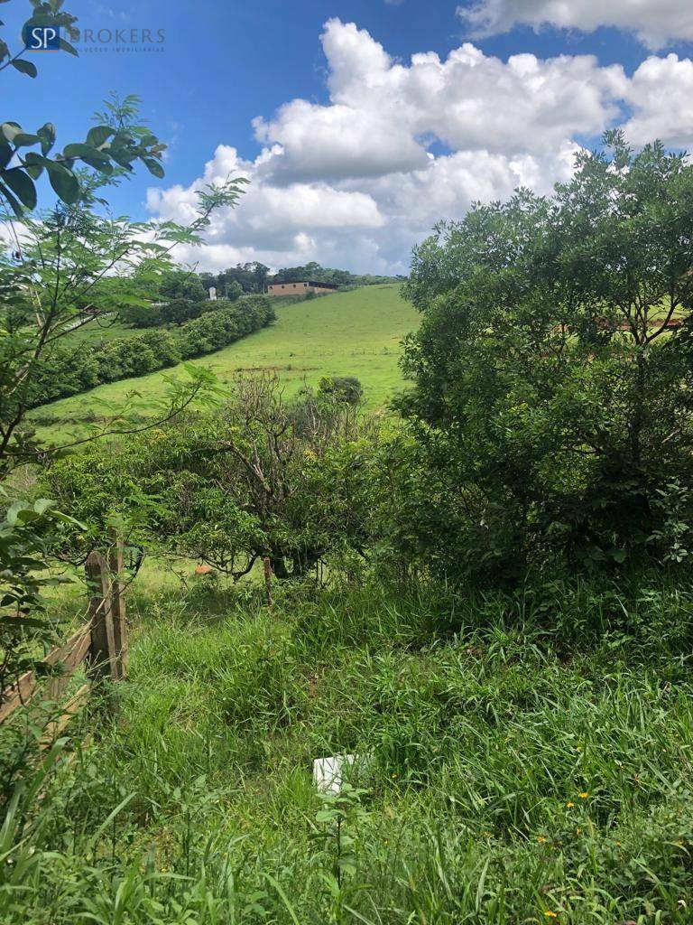 Terreno, 13 hectares - Foto 2