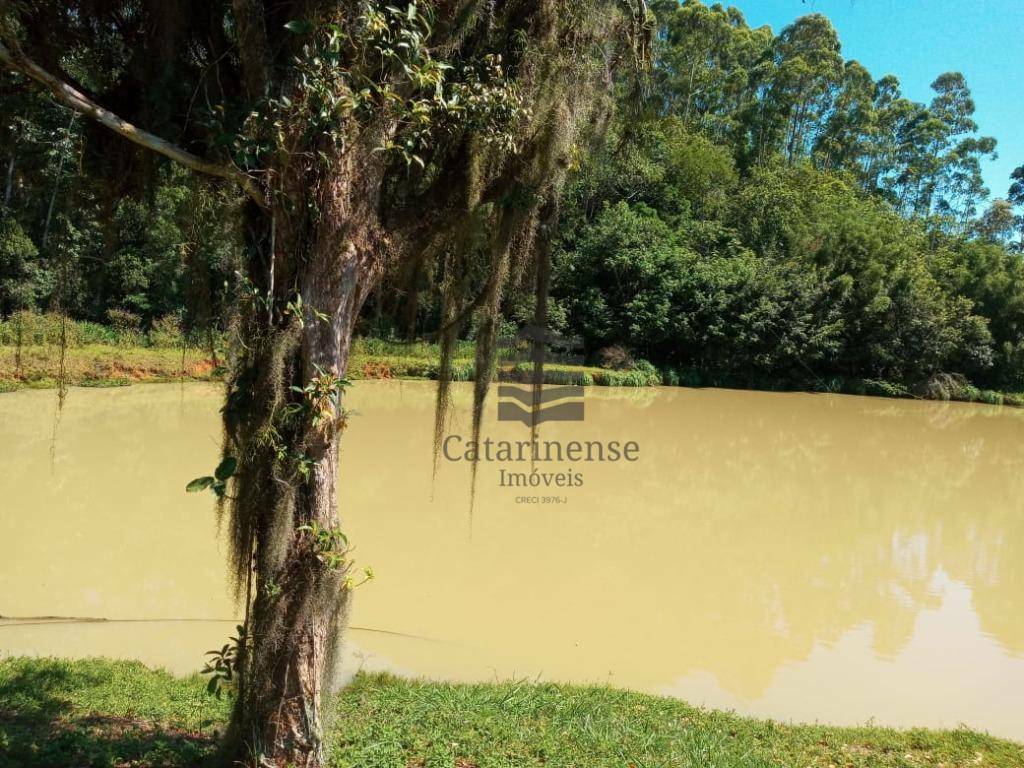 Sítio, 7 quartos, 15 hectares - Foto 4