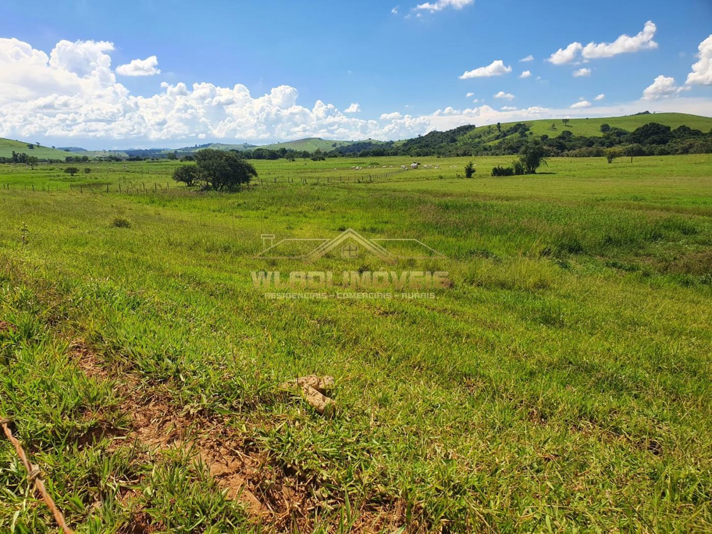 Fazenda à venda, 224m² - Foto 18