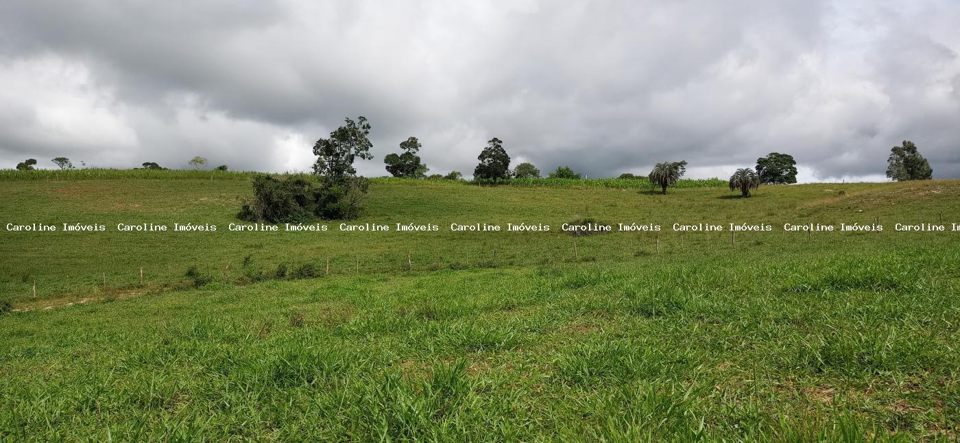 Fazenda à venda com 2 quartos, 220000m² - Foto 11