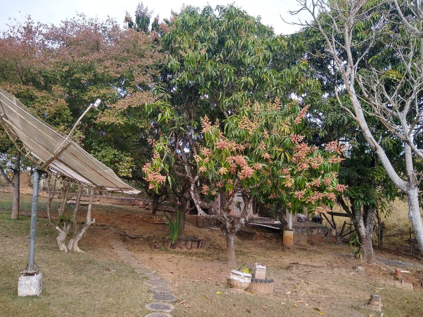 Fazenda à venda com 3 quartos, 5300m² - Foto 35