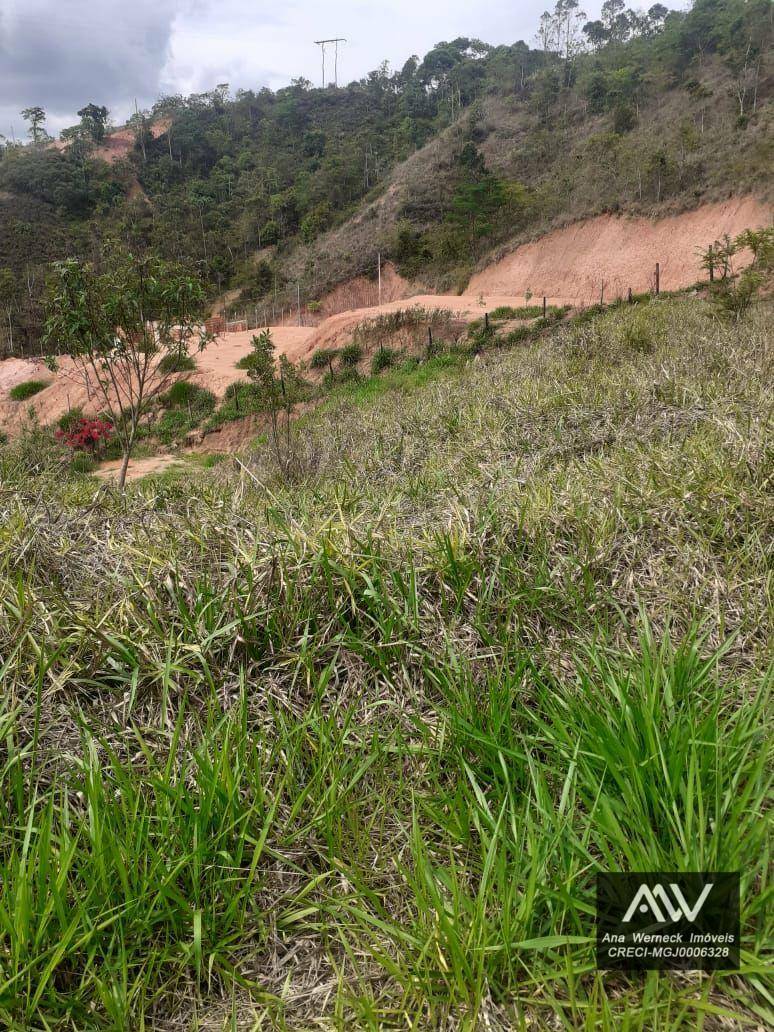 Terreno à venda, 1500M2 - Foto 4