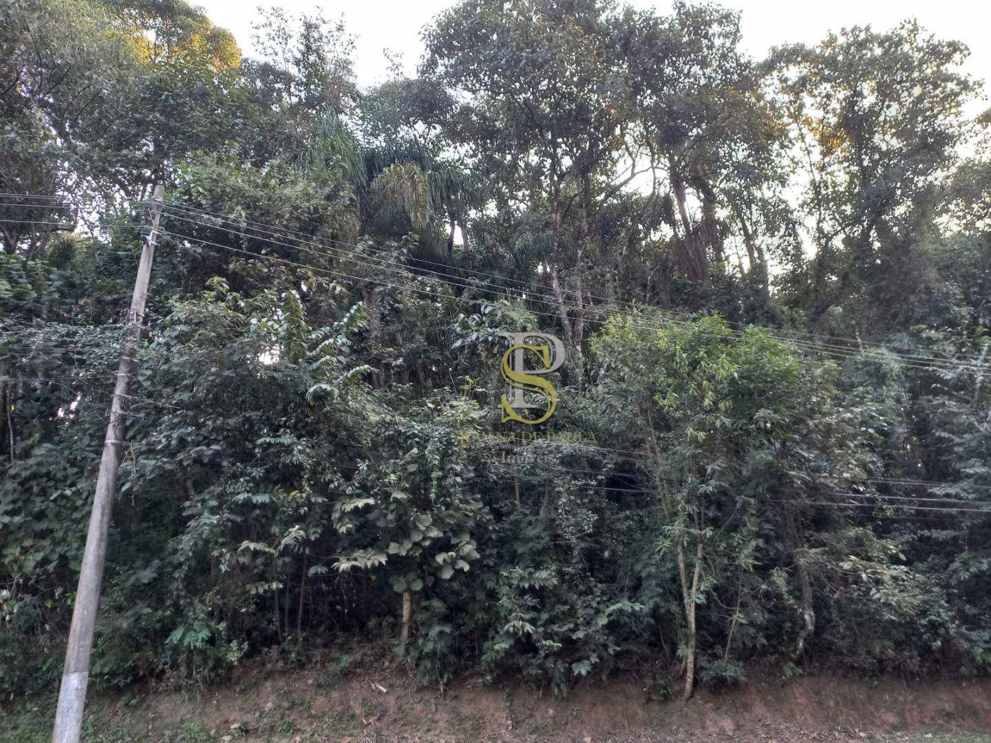 Terreno, 1424 m² - Foto 5