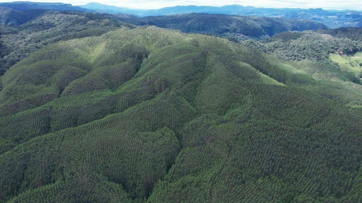 Fazenda à venda, 1564600m² - Foto 31