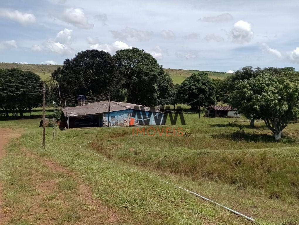 Fazenda à venda com 4 quartos, 820000M2 - Foto 33