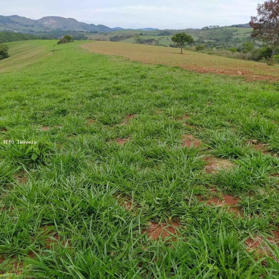 Fazenda à venda com 1 quarto, 40m² - Foto 2