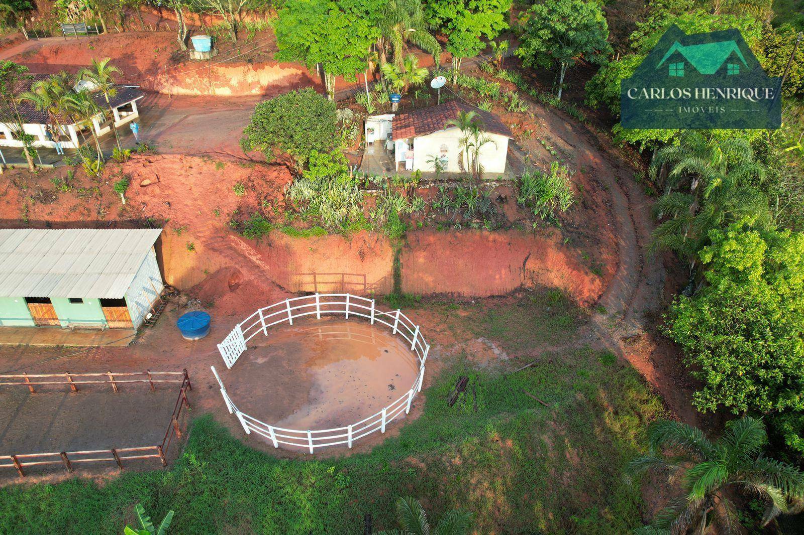 Haras e Área Rural Padrão à venda com 4 quartos, 300m² - Foto 25