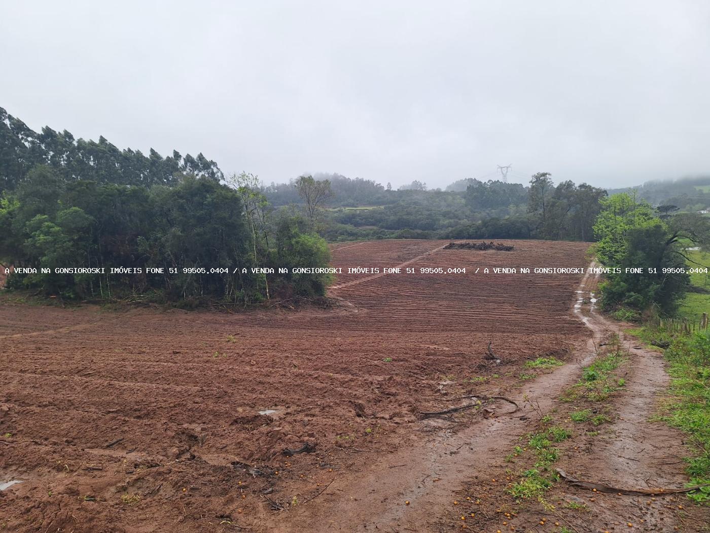 Sítio à venda com 2 quartos, 141000m² - Foto 24