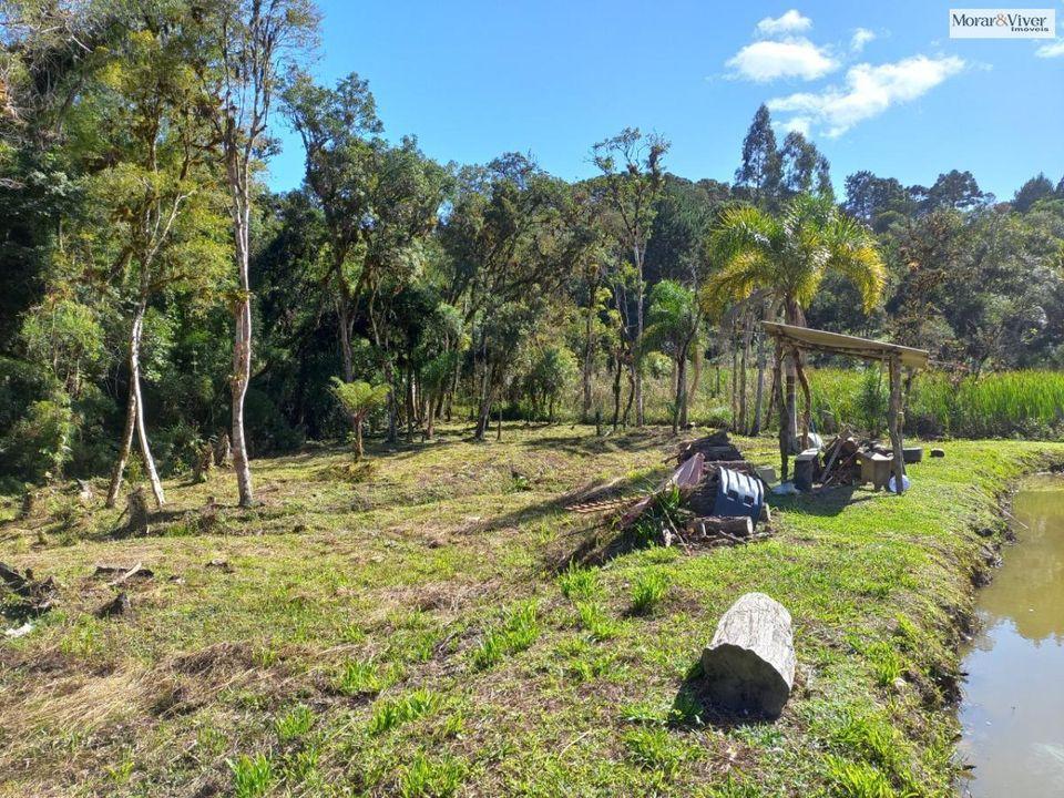 Fazenda à venda, 8000m² - Foto 20