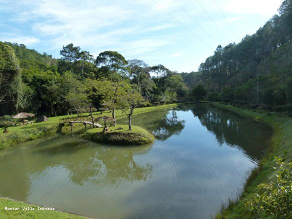 Terreno à venda - Foto 3