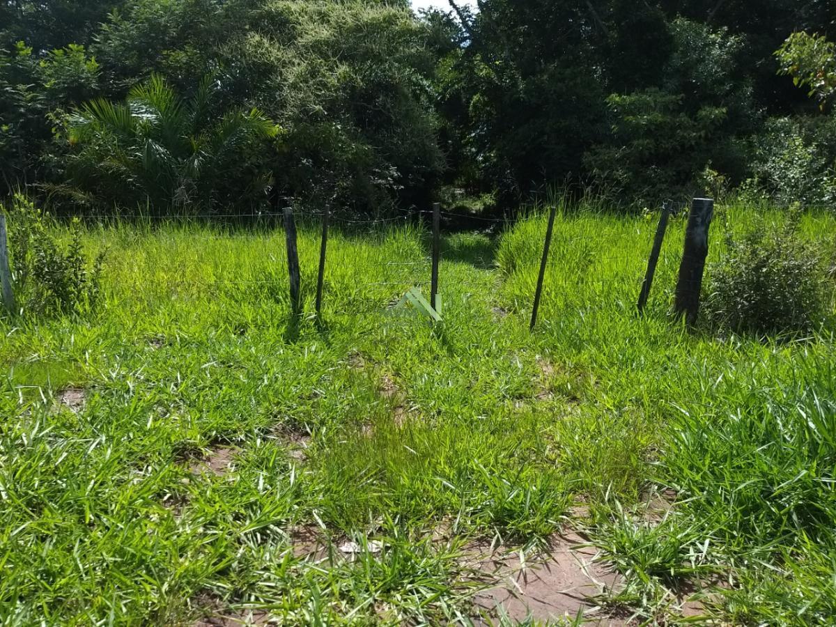 Fazenda à venda com 4 quartos, 430000m² - Foto 26