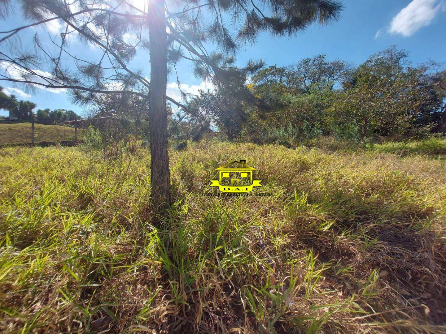 Terreno à venda, 1200M2 - Foto 6