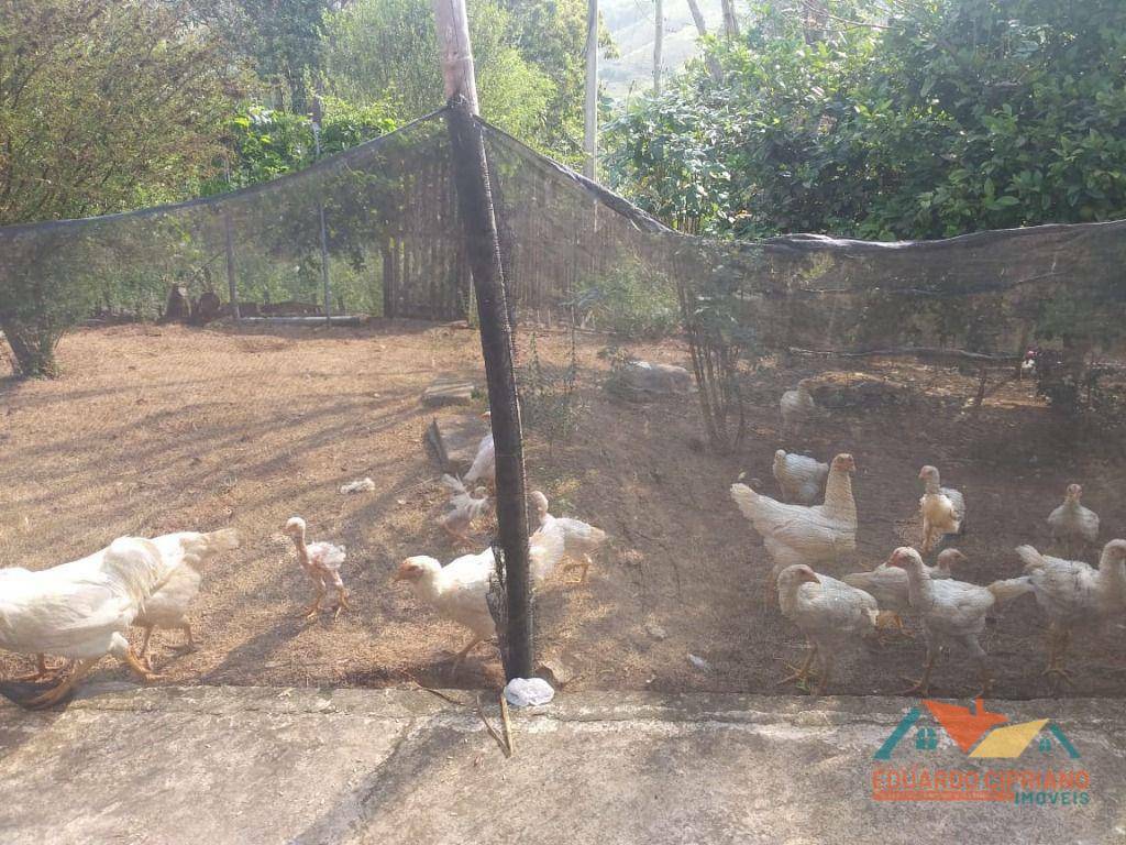 Sítio, 3 quartos, 3 hectares - Foto 3