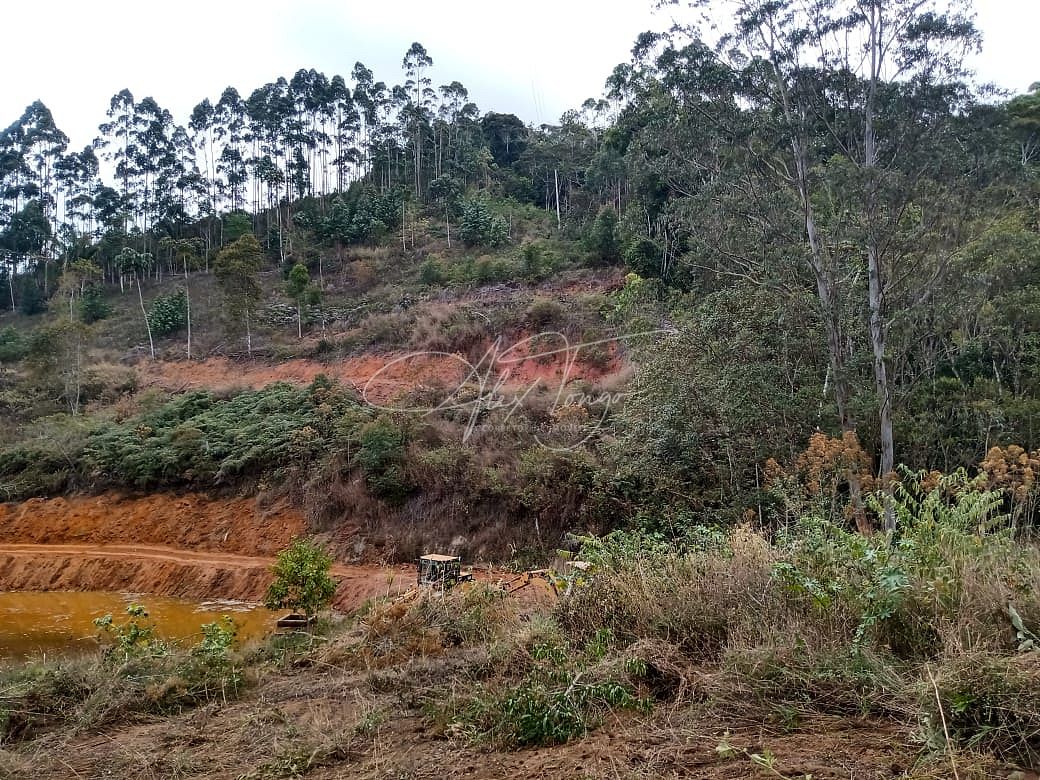 Fazenda à venda, 3000m² - Foto 23