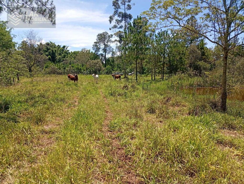 Terreno, 4 hectares - Foto 18