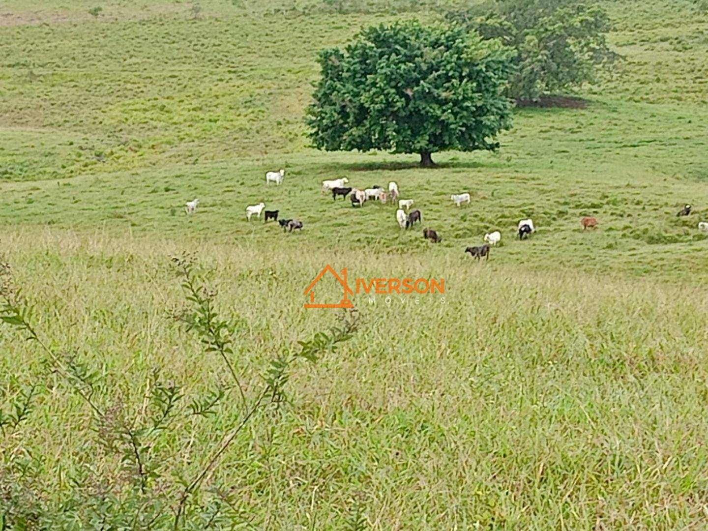 Fazenda à venda com 2 quartos, 300m² - Foto 2