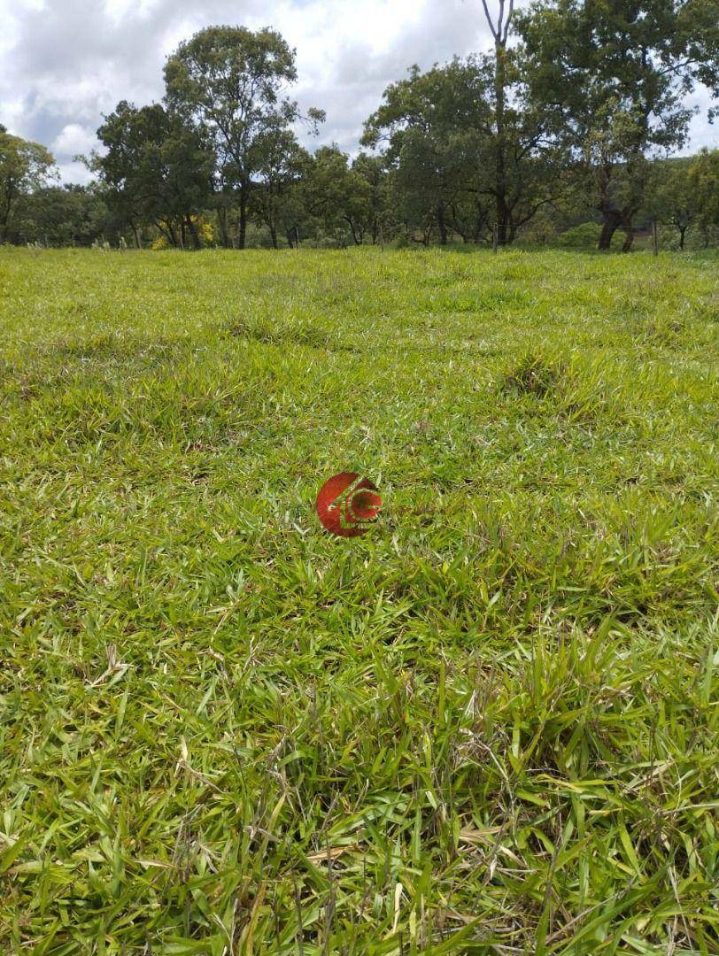 Fazenda à venda, 290400M2 - Foto 8