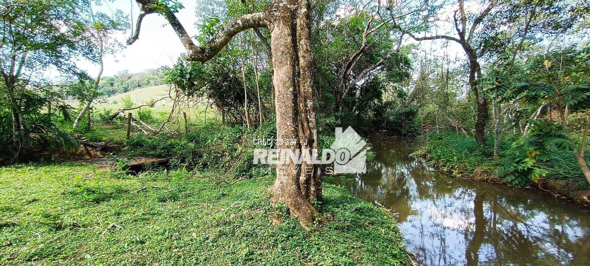 Haras e Área Rural Padrão à venda com 16 quartos, 2500m² - Foto 181