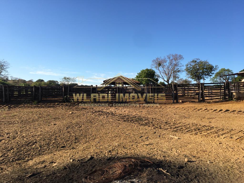 Fazenda à venda, 3100m² - Foto 2