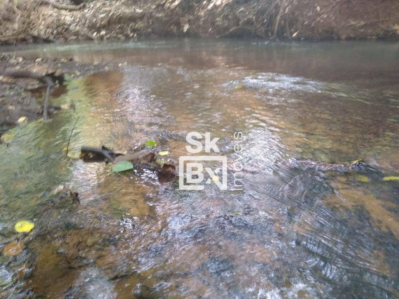 Terreno à venda, 20000M2 - Foto 4