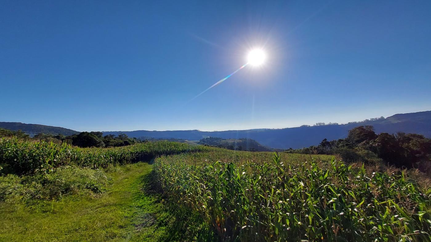 Fazenda à venda com 2 quartos, 925500m² - Foto 22