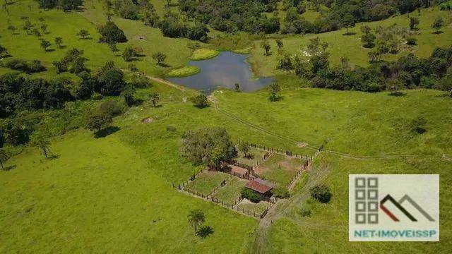 Fazenda à venda com 5 quartos, 500m² - Foto 9