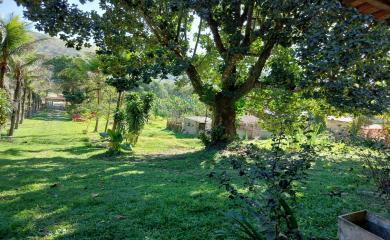 Fazenda à venda com 2 quartos, 16000m² - Foto 15