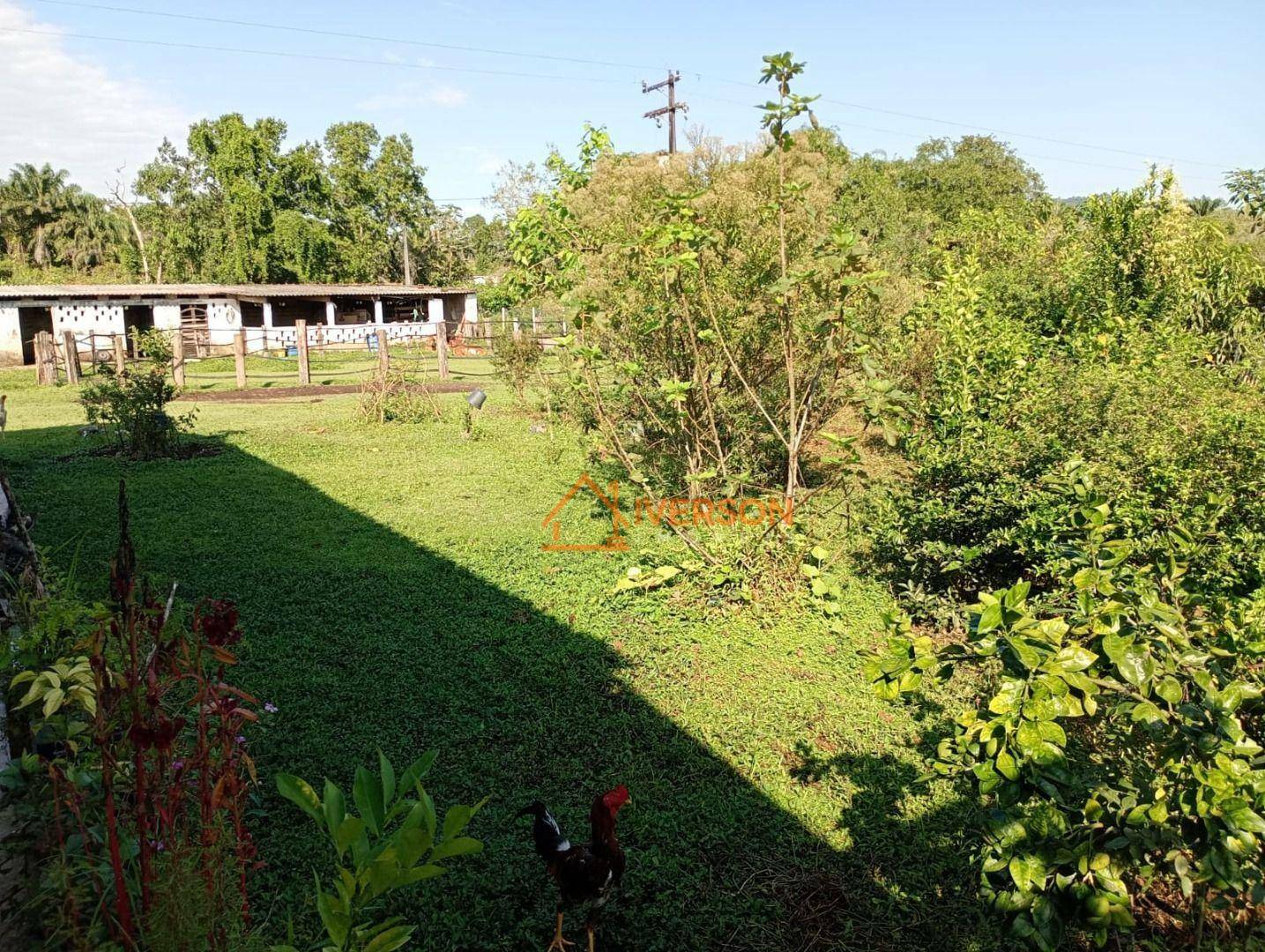 Chácara à venda com 2 quartos, 200m² - Foto 12