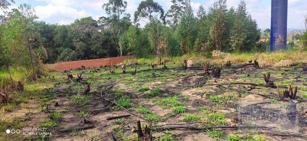 Loteamento e Condomínio, 1000 m² - Foto 2