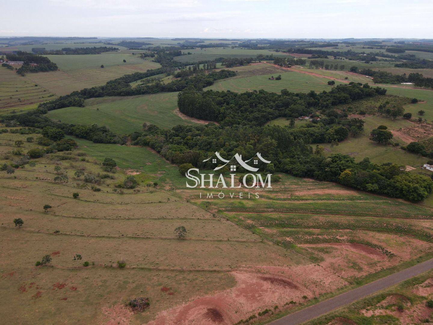 Sítio, 12 hectares - Foto 4