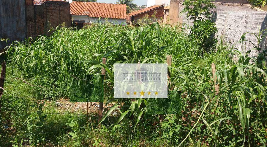 Terreno à venda, 257M2 - Foto 2