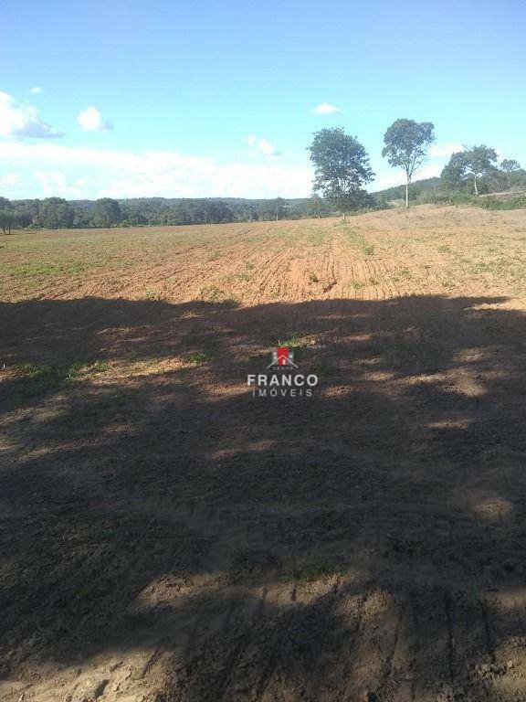 Fazenda à venda com 6 quartos, 350m² - Foto 6