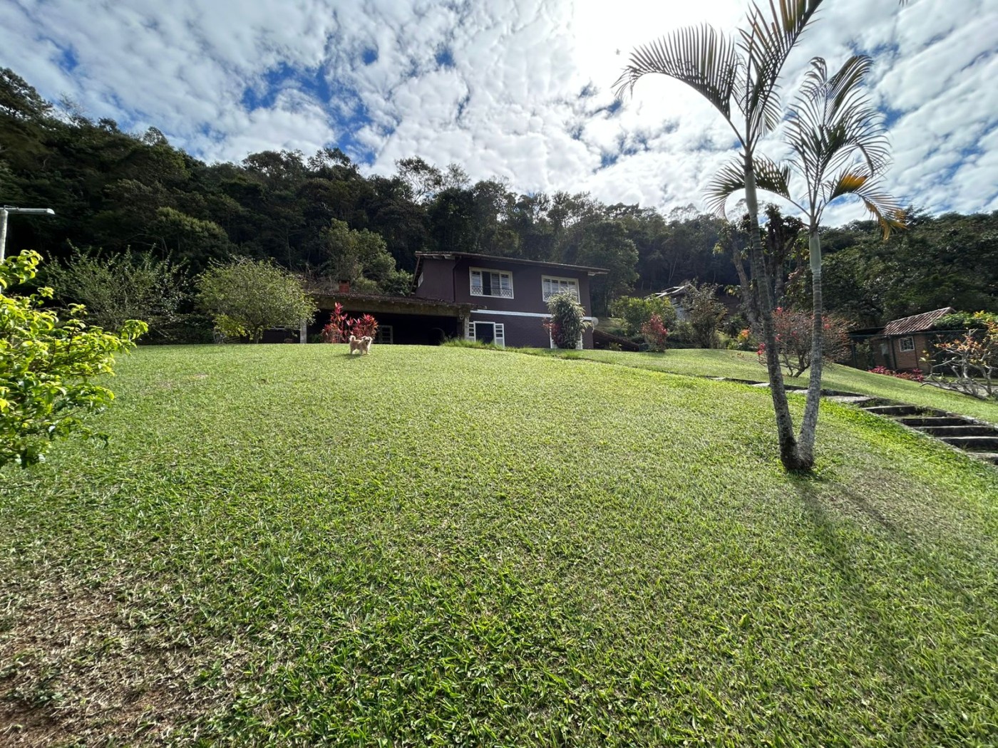 Casa à venda com 5 quartos, 350m² - Foto 7