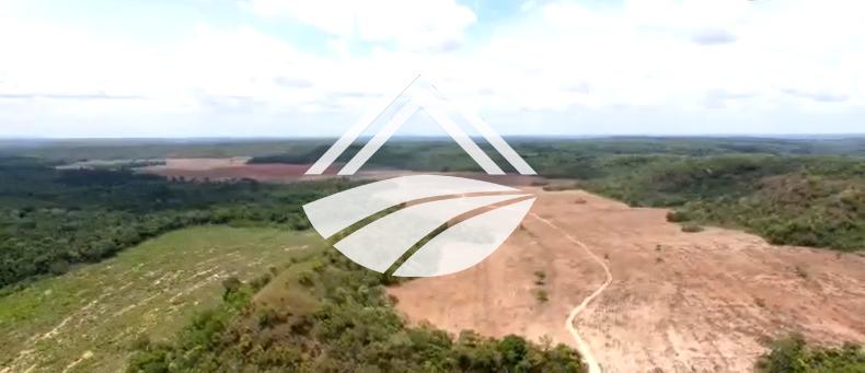 Fazenda à venda, 1m² - Foto 3