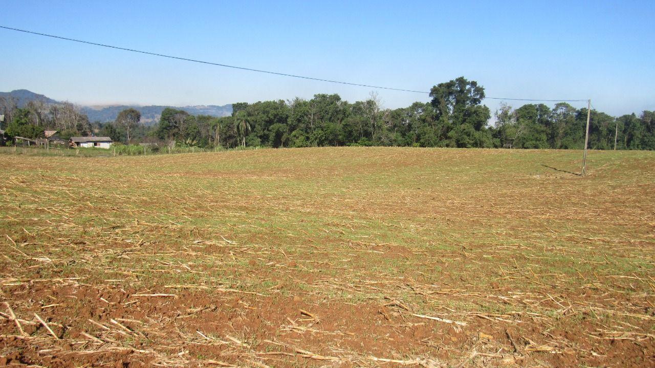 Terreno à venda, 18919m² - Foto 11