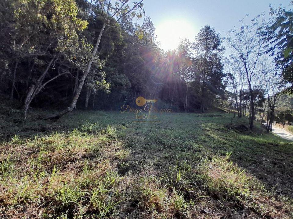 Fazenda à venda com 4 quartos, 29000m² - Foto 59