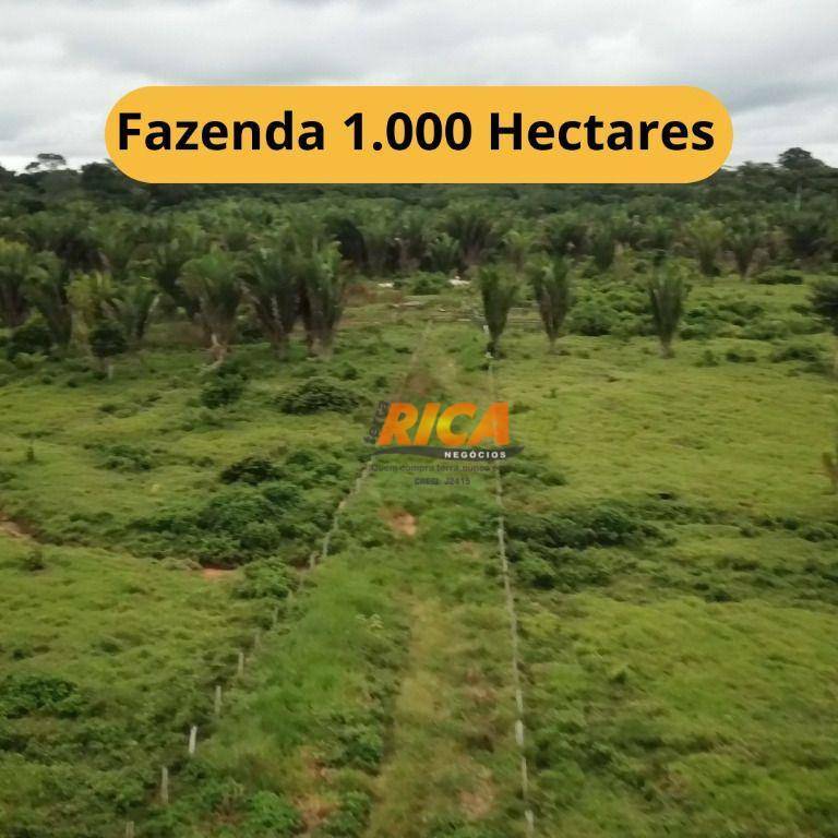 Fazenda-Sítio-Chácara, 1000 hectares - Foto 1