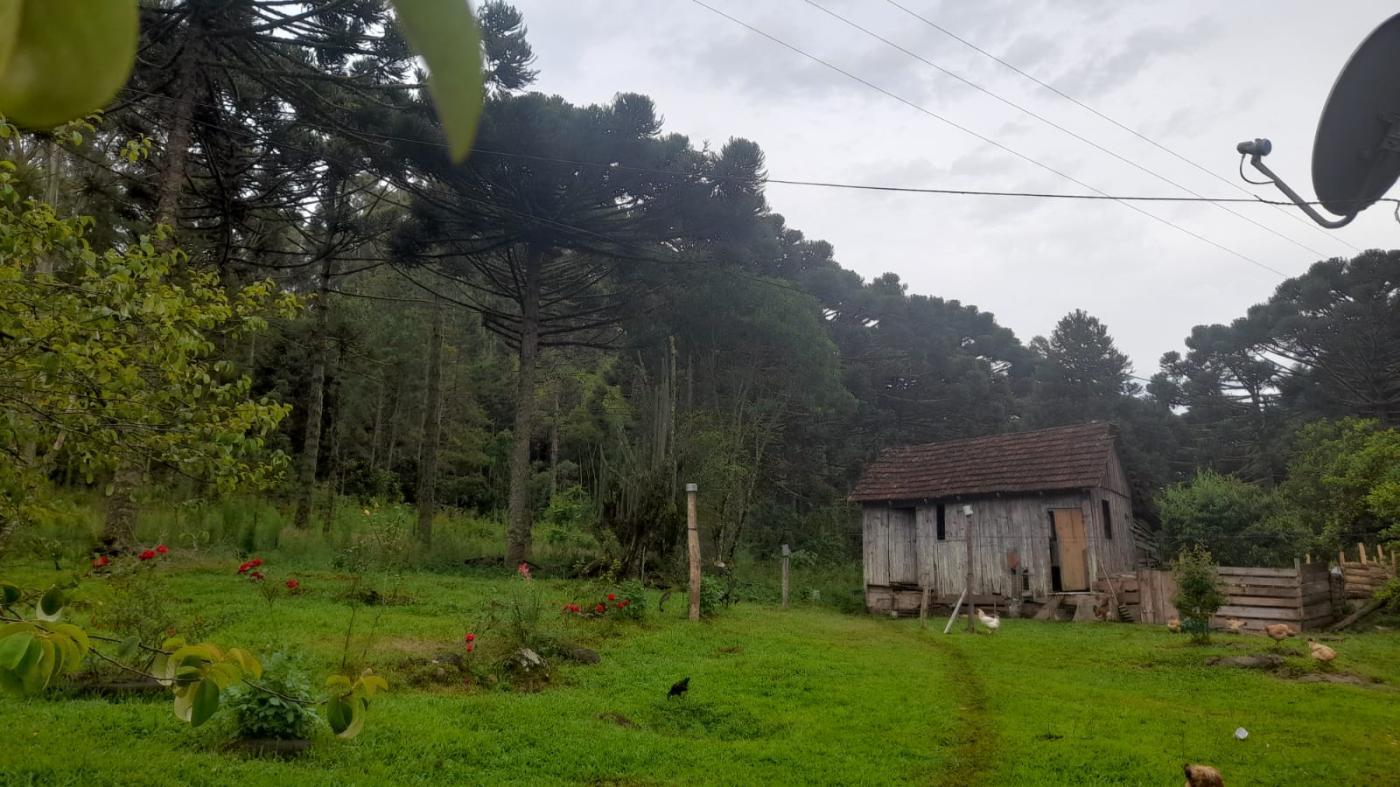 Fazenda à venda, 21m² - Foto 11