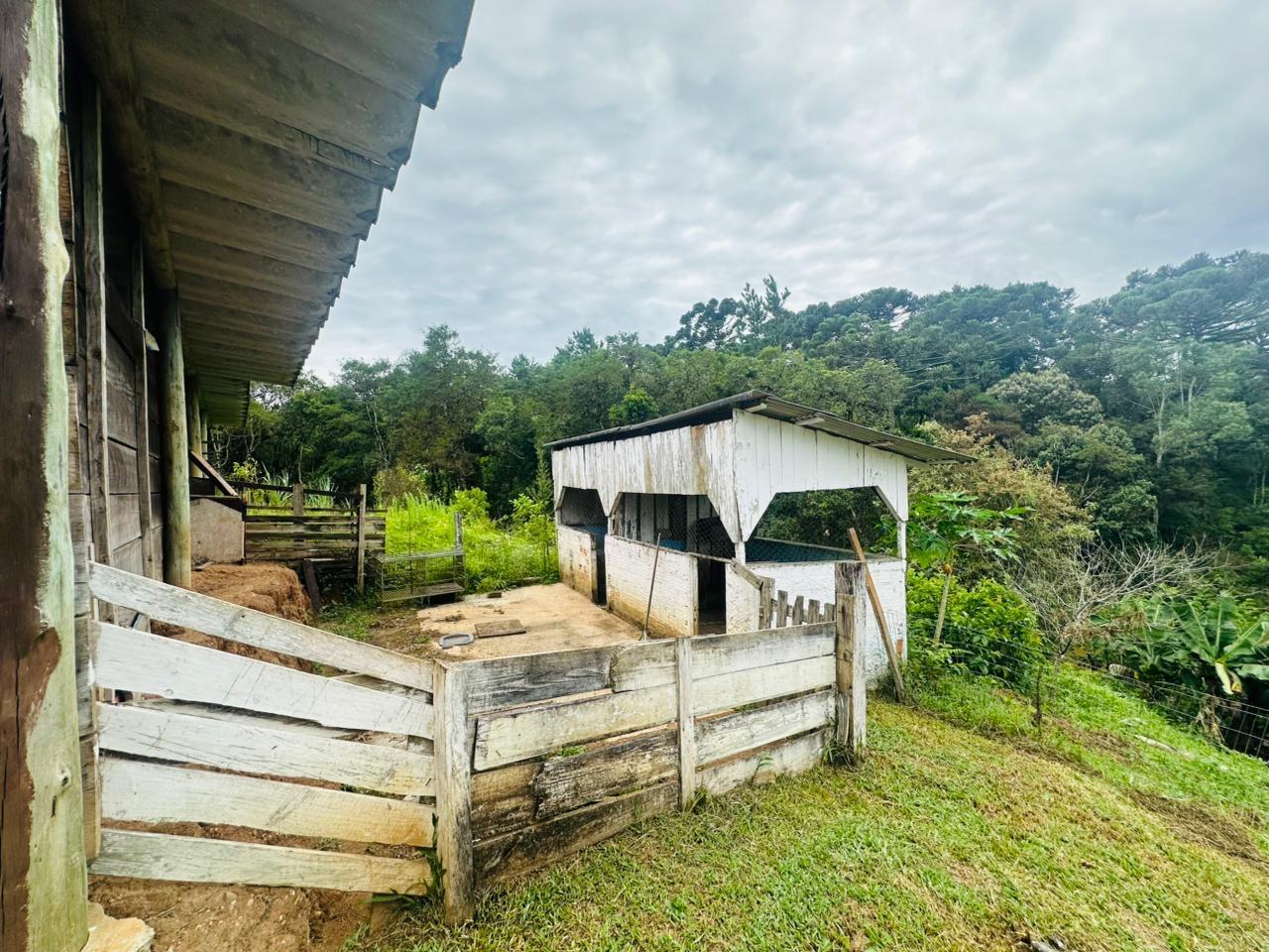 Fazenda à venda com 3 quartos, 8000m² - Foto 40